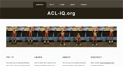 Desktop Screenshot of acl-iq.org